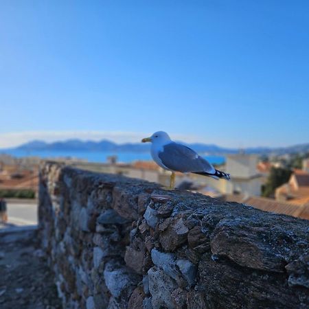 Апартаменти Sweet Azur - Host Provence Ле-Канне Екстер'єр фото