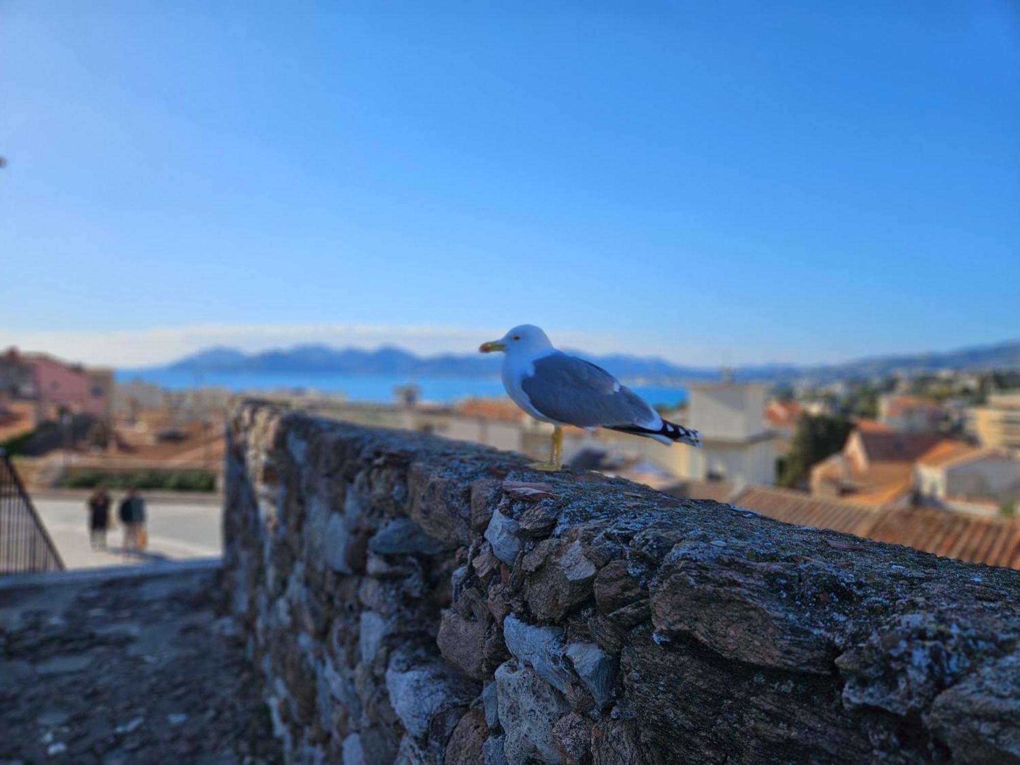 Апартаменти Sweet Azur - Host Provence Ле-Канне Екстер'єр фото